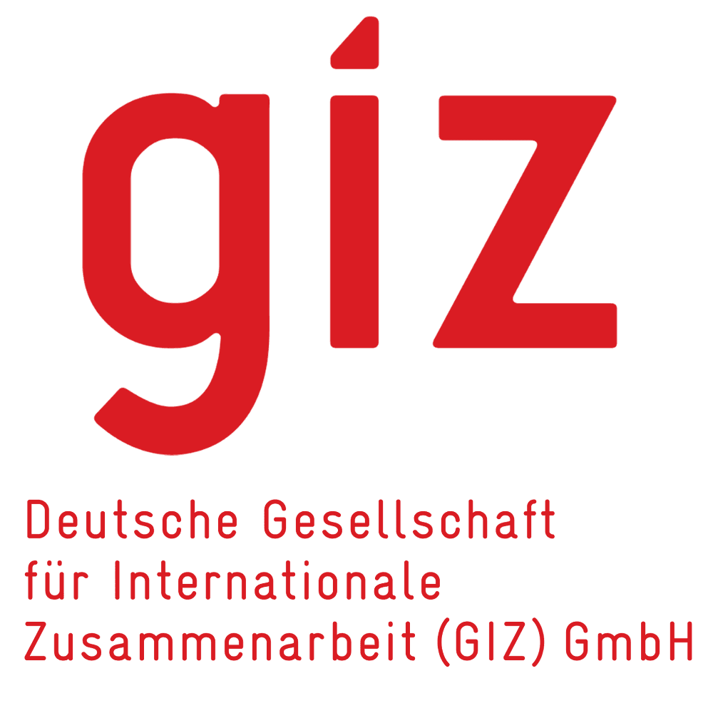 Logo GIZ